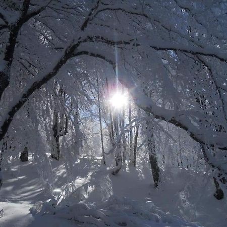 Stara Planina Vila Vesela Kuca Jalovik Izvor 외부 사진