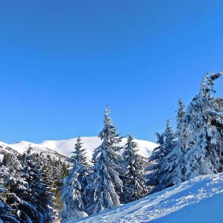 Stara Planina Vila Vesela Kuca Jalovik Izvor 외부 사진