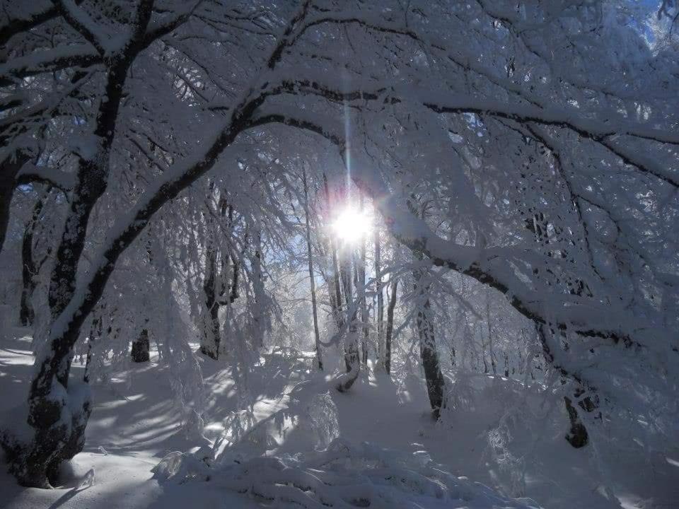 Stara Planina Vila Vesela Kuca Jalovik Izvor 외부 사진