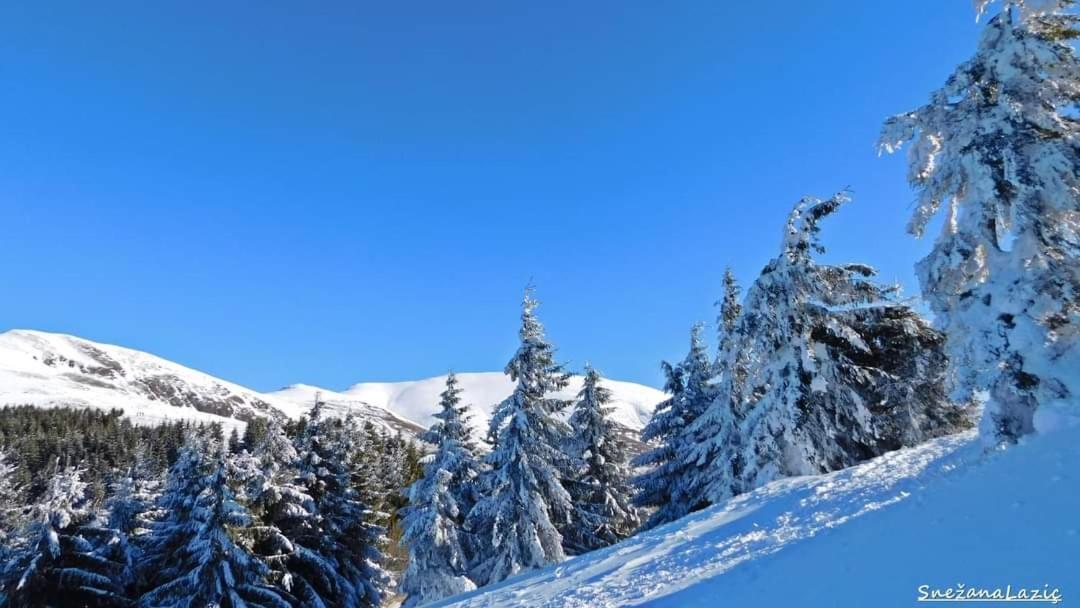 Stara Planina Vila Vesela Kuca Jalovik Izvor 외부 사진