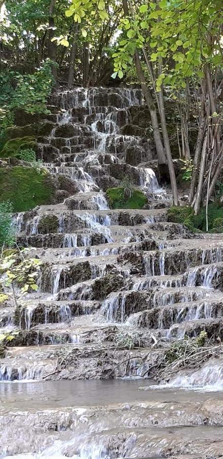 Stara Planina Vila Vesela Kuca Jalovik Izvor 외부 사진