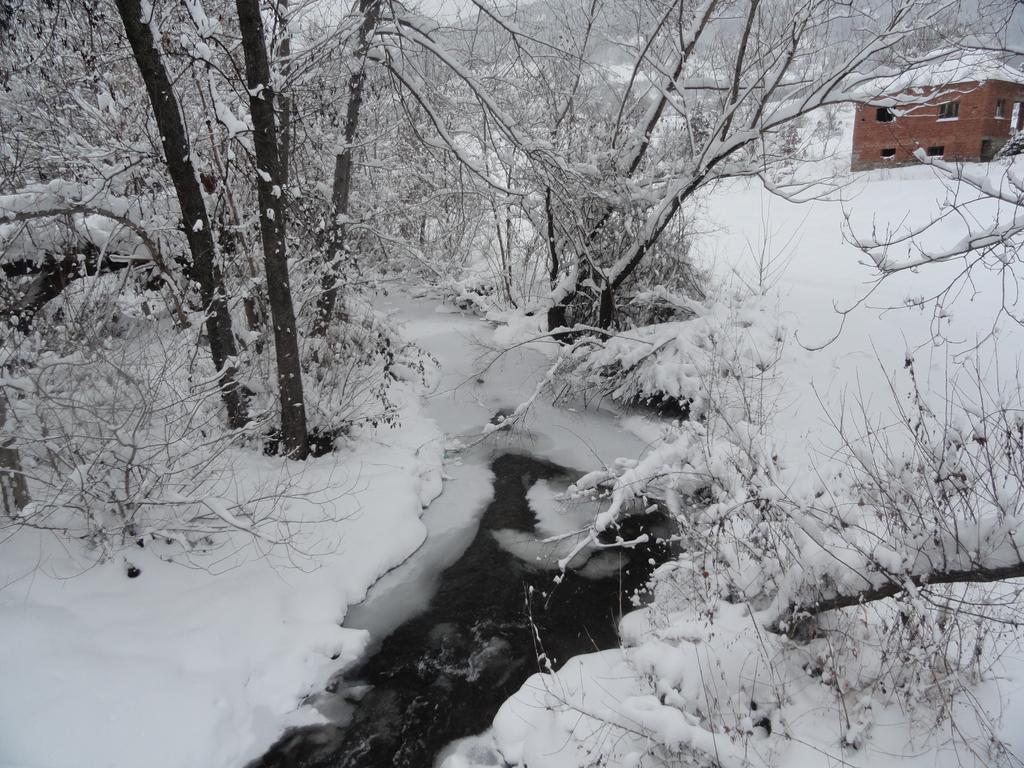 Stara Planina Vila Vesela Kuca Jalovik Izvor 외부 사진