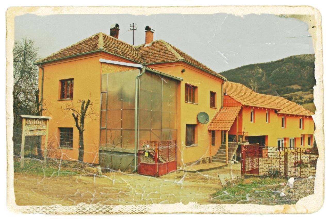 Stara Planina Vila Vesela Kuca Jalovik Izvor 외부 사진